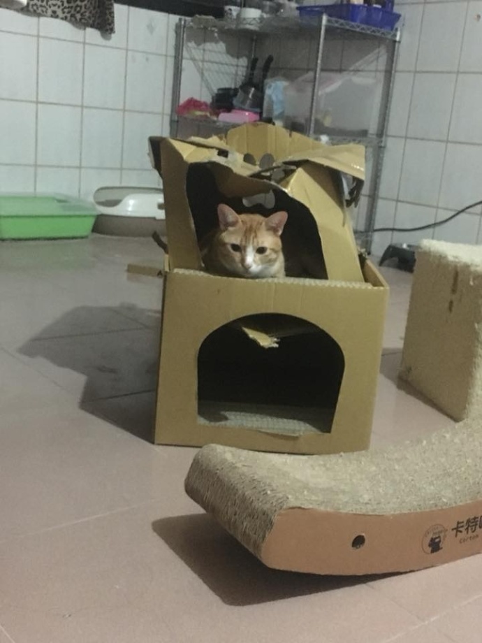 这个村一条秋裤卖全国闯出振兴路,厉害这个村凭一条虾走上了致富路