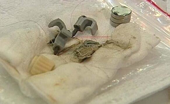 狗狗和主人玩闹时突然躺下露肚子,狗狗被主人肚腩吓到了