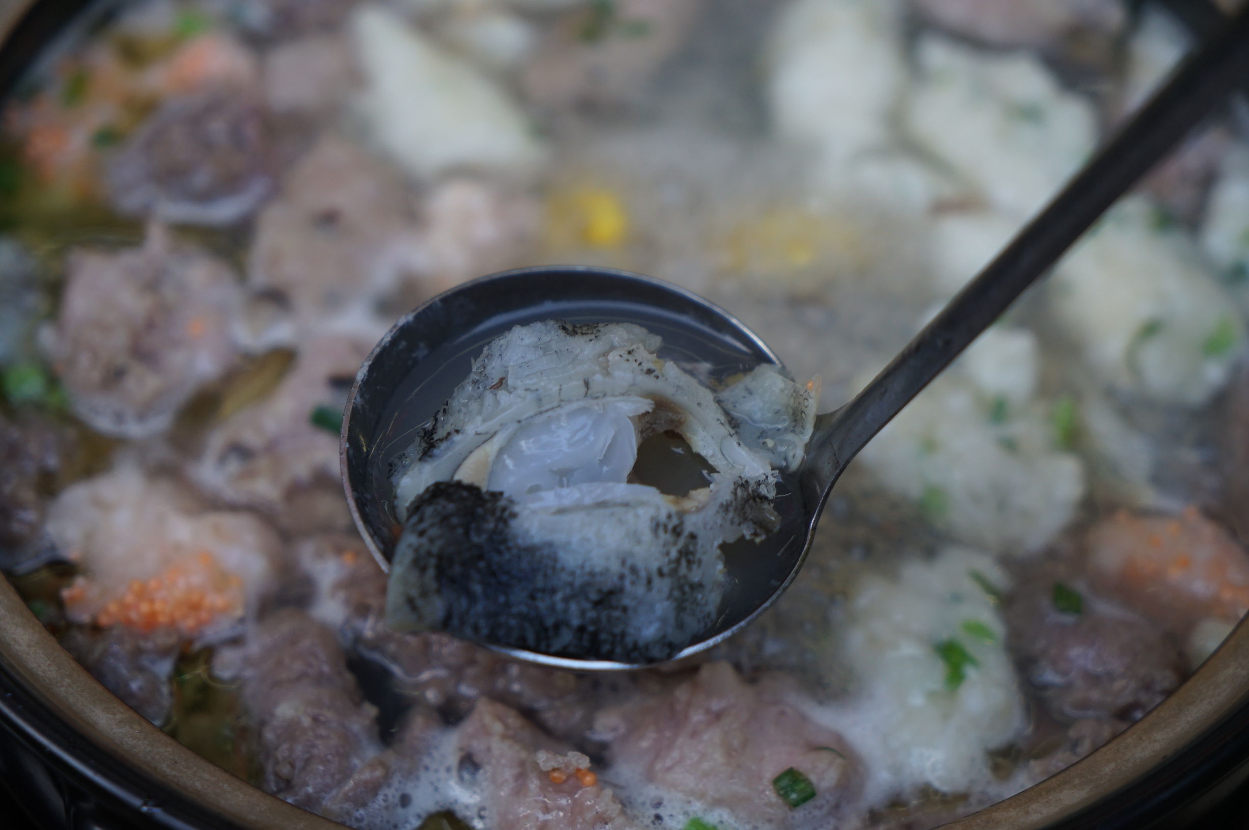 手臂长的大花胶浸龙门胡须鸡，秋风起适时进补了！