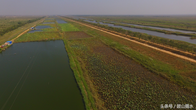 黄河入海的壮观景象航拍,航拍黄河瀑布全景图