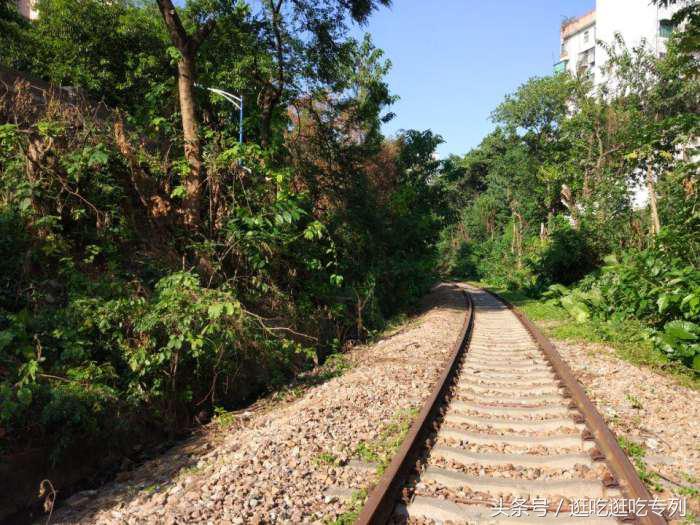 广州火车站的那些回忆,广州旧珠江桥铁路桥