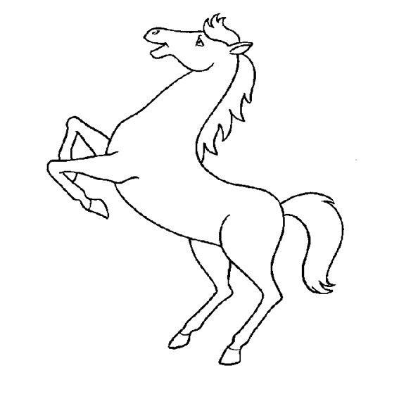 2024年适合添丁生子的五大生肖,最不适合在一起的三个生肖