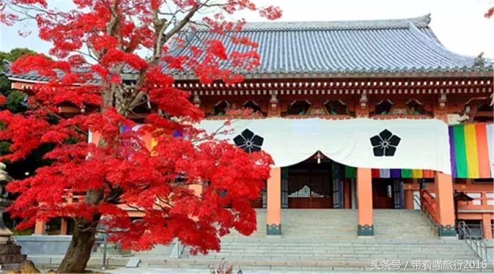 在日本最美的地方生活,在日本无拘无束做自己