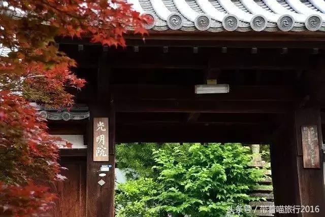 在日本最美的地方生活,在日本无拘无束做自己