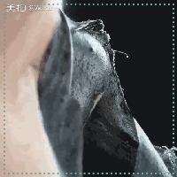 敷了就能白一个度的面膜推荐,敷上效果特别明显的面膜