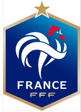 fifaonline4法国套,fifaonline3法国套