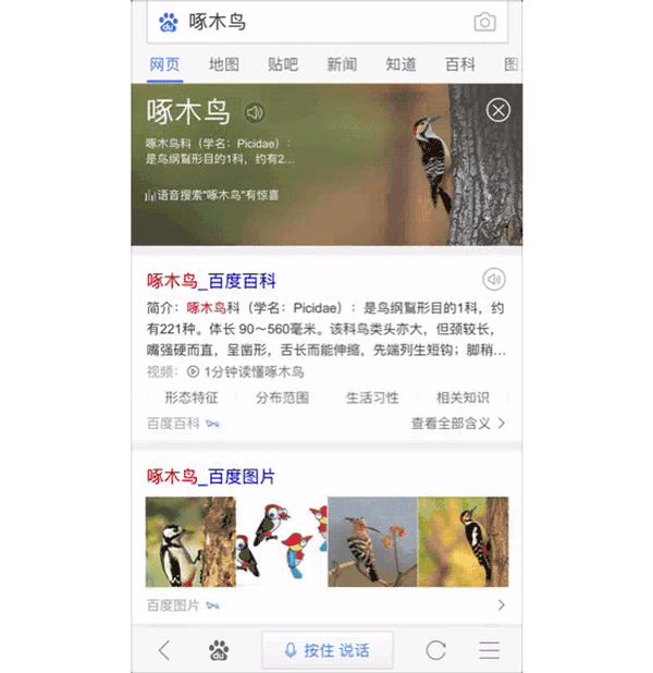 百度贴吧账号被永久封禁怎么办,百度贴吧如何解除封禁