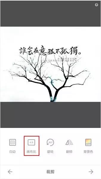 照片如何修出高级感,简约照片如何修