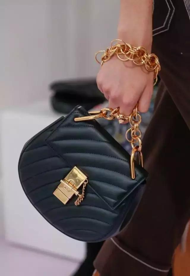 刘雯背的新款包是什么品牌,刘雯背过的一款蔻驰的包包