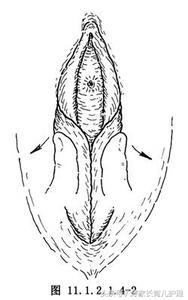 家有女宝宝的家长看过来,家有女儿的家长看过来