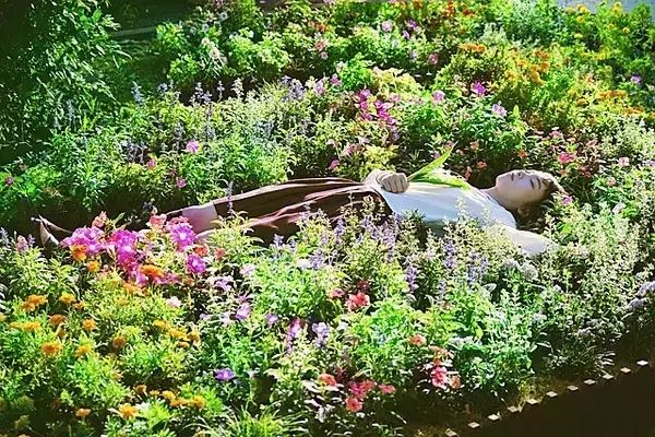 表面清纯其实心狠手辣的女人,外表清纯实则绿茶婊