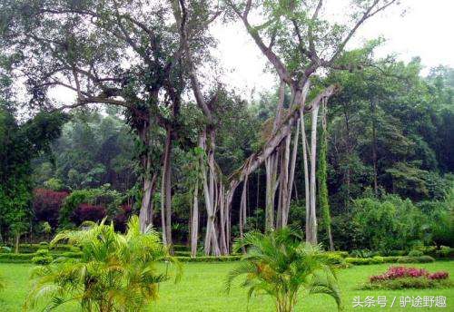雷州半岛的主要景点是,广东雷州半岛旅游景点