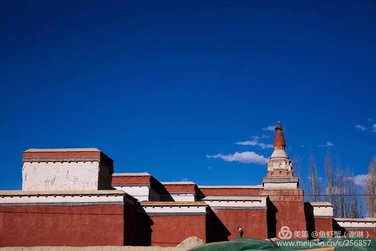 只要能去*藏西**,头痛高反什么的都不care