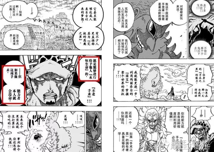 海贼王特拉法尔加罗最强一击,海贼王特拉法尔加罗简介