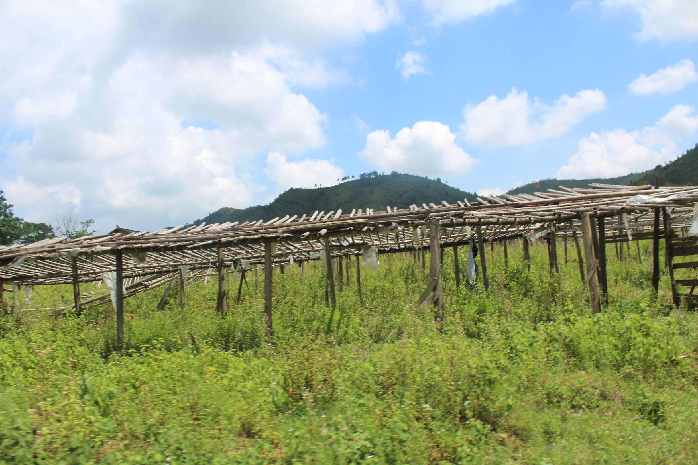心系河源情归忠信——第二集走进无人区中洞村（下）