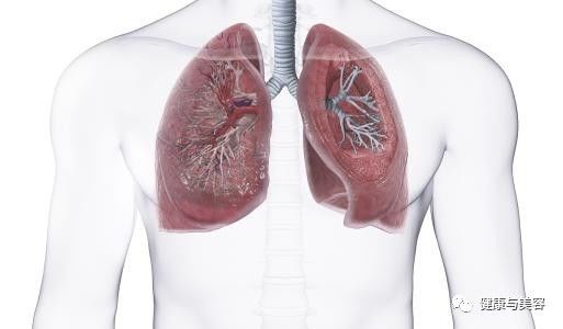 分享给你中医博士的秋季肌肤内调保养处方笺!