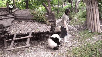 据说只要看到这双“雪地靴”，姑娘们都会挪不动脚！