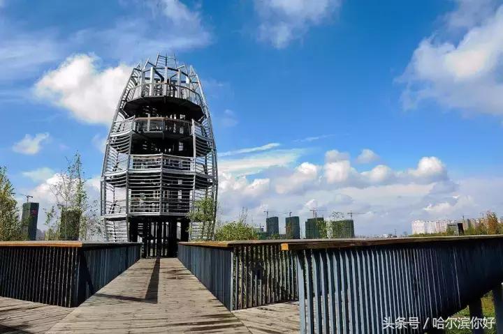 哈尔滨南岗区道里区有什么区别,哈尔滨道里区算主城区吗