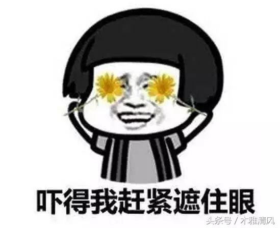 天冷了入手一款暖手宝,天冷时选哪种暖手宝