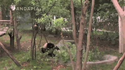 据说只要看到这双“雪地靴”，姑娘们都会挪不动脚！