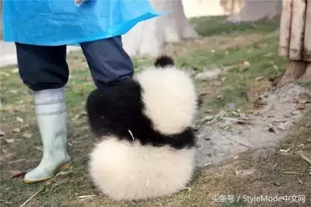 据说只要看到这双“雪地靴”，姑娘们都会挪不动脚！