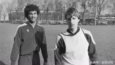 后院起火新闻视频,后院起火系列