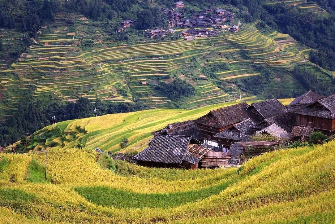 北方已经初冬了，贵州的这些地方秋意正浓，现在去正当时！