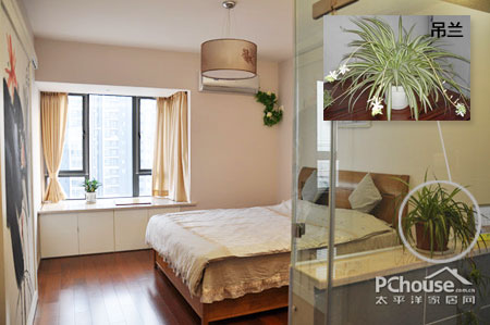 财位怎样布置最招财运,卧室财位摆放什么花最好