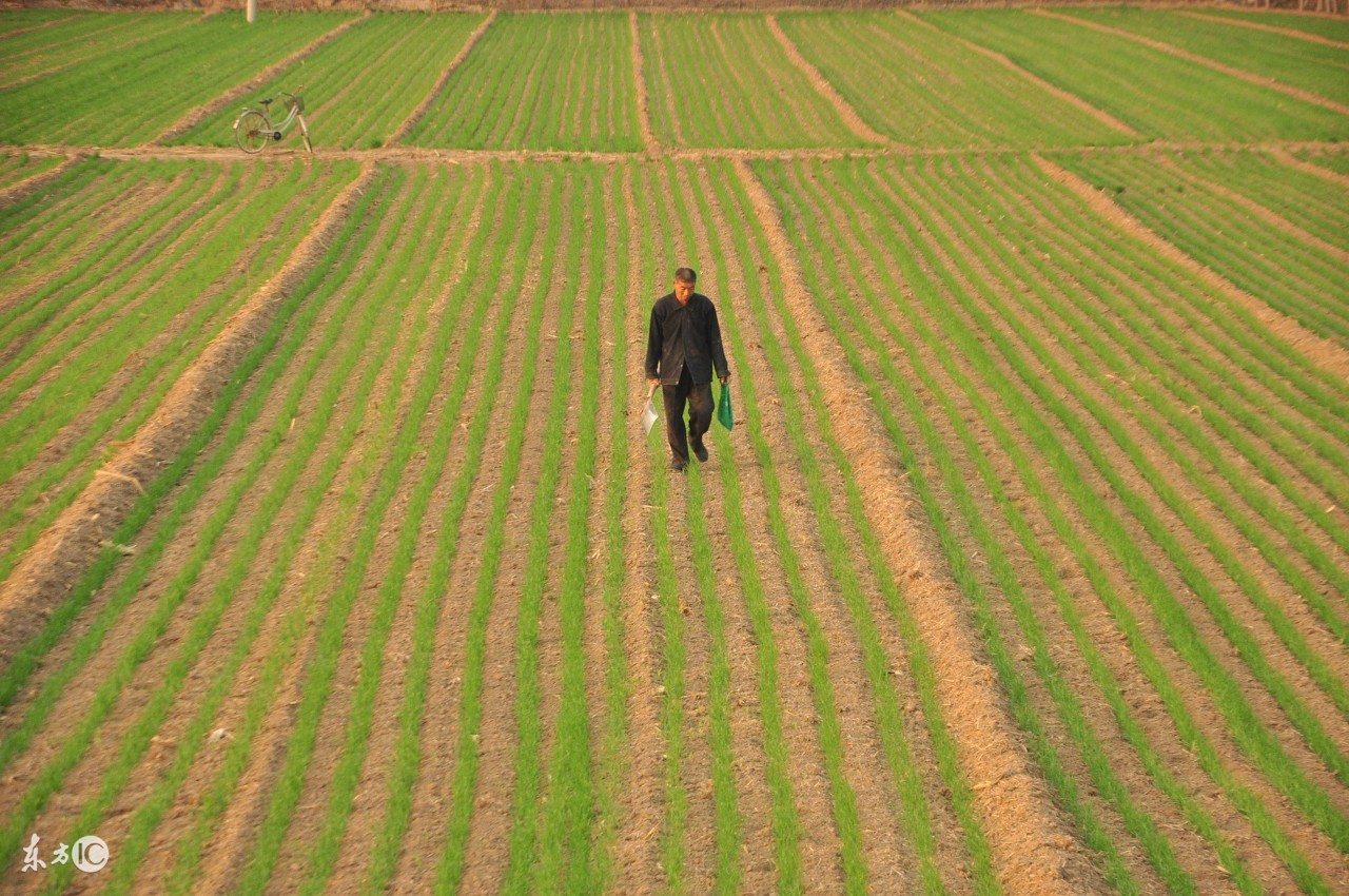 二轮土地承包是到2025年还是2027年,农村土地二轮承包到期怎么办