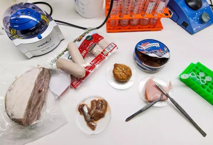 蓝鳍金枪鱼品质鉴别,真假蓝鳍金枪鱼