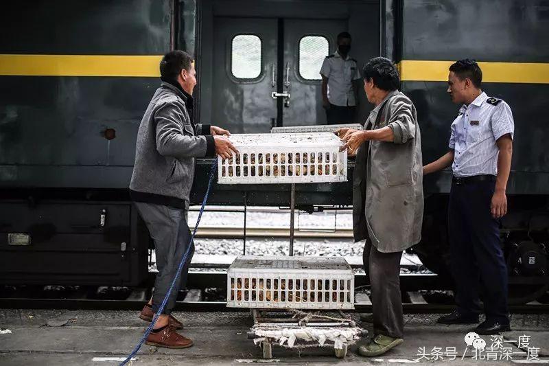 全中国最便宜的火车：票价2元起22年未涨，山羊和鸡群都能上车