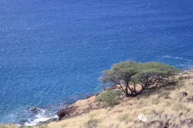 夏威夷之旅旅游攻略,13天旅行两个人多少钱预算