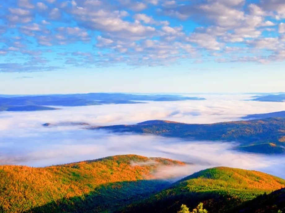 对不起我要去学校了模板,对不起我要去天津了