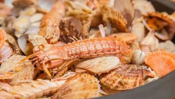 躲避浮躁城市隐身青岛首家精品民宿，一个为了孩子和逃离雾霾故事