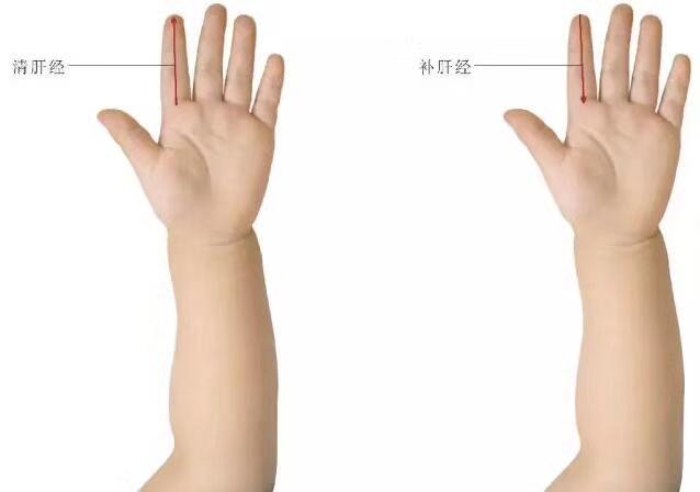 小儿推拿,小儿推拿视频免费教程全集