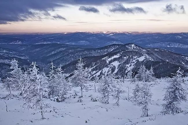 对不起我要去学校了模板,对不起我要去天津了