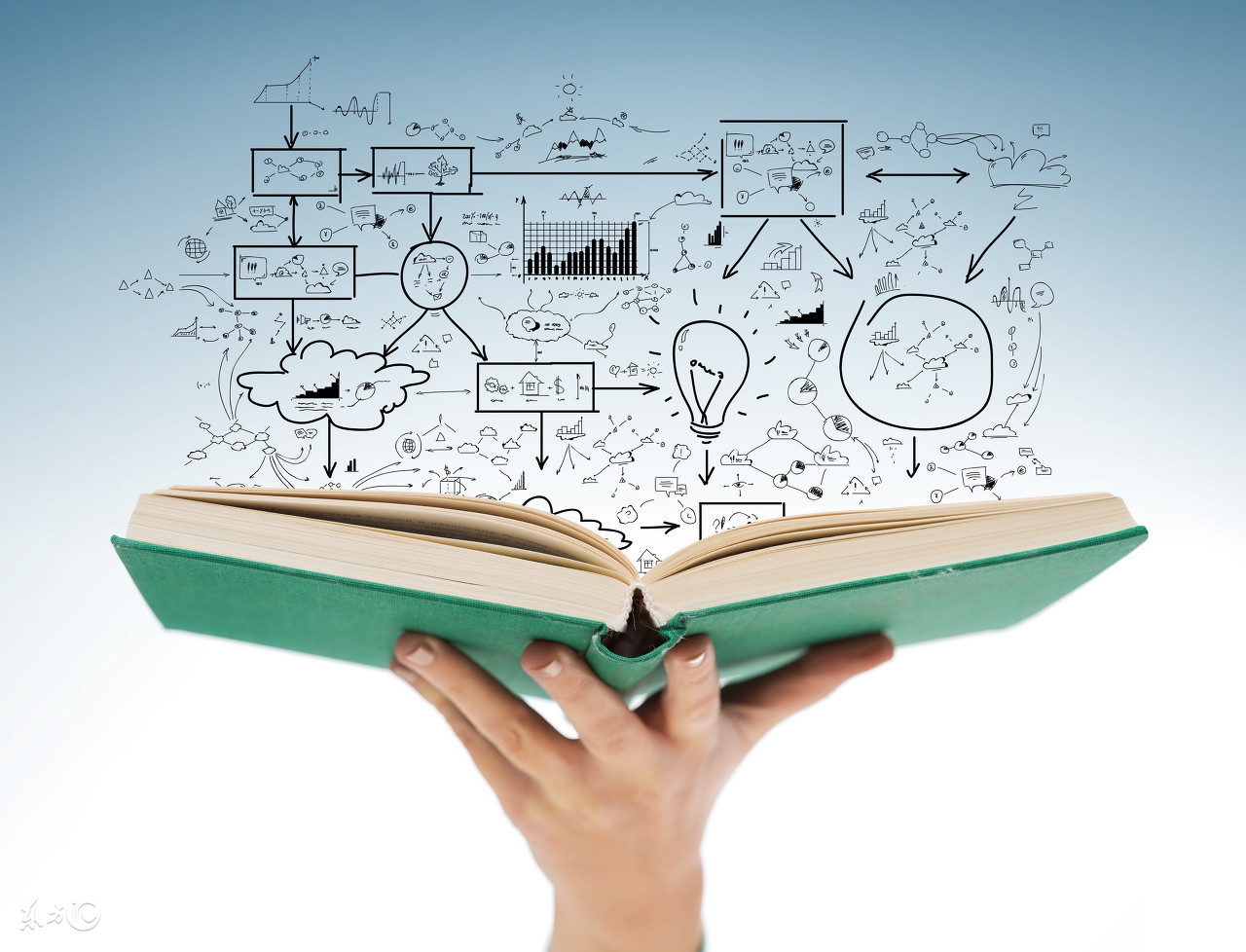 六书中哪些字属于形声字,六书形声字