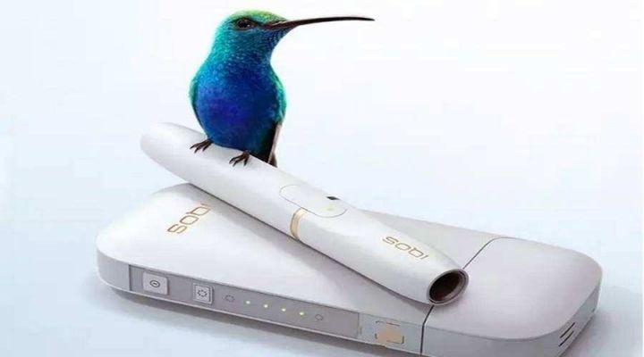 日本十大轻奢伴手礼,日本伴手礼必备清单