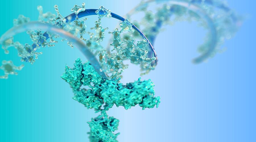 rna药物研发的公司,rna药物和蛋白药物