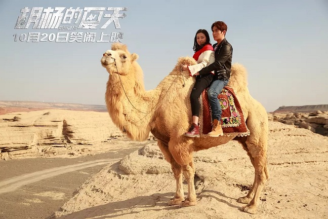 胡杨的夏天的爱情,胡杨的爱情故事