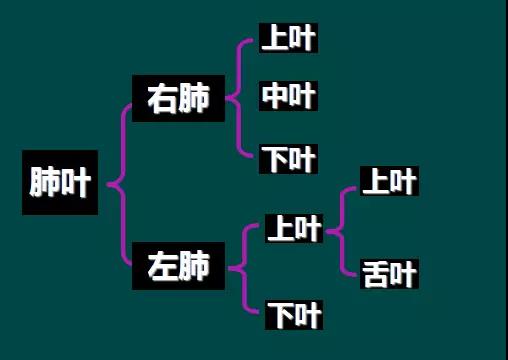 读完该文,让你学会如何看胸片