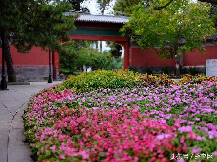 富士中画幅gfx50sii视频评测,富士gfx50s二代高感和全画幅对比