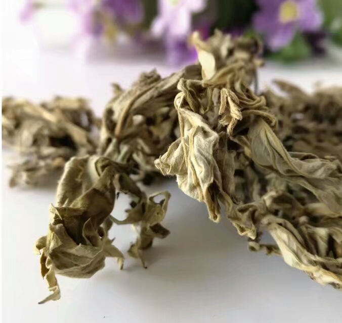 艾叶和艾条泡脚功效一样,艾草能食疗吗