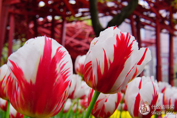 索尼a6000微单使用教程,索尼a6000微单相机新手教程