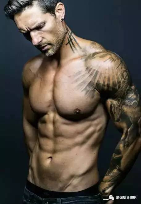 人鱼线跟马甲线都长什么样子,马甲线是怎样的人鱼线又是怎样的