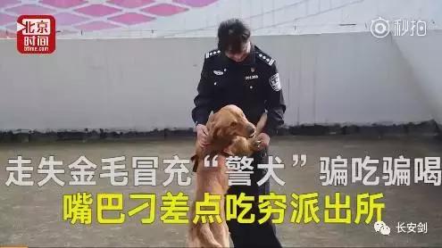 三分钟法治新闻100条,法治三分钟知天下