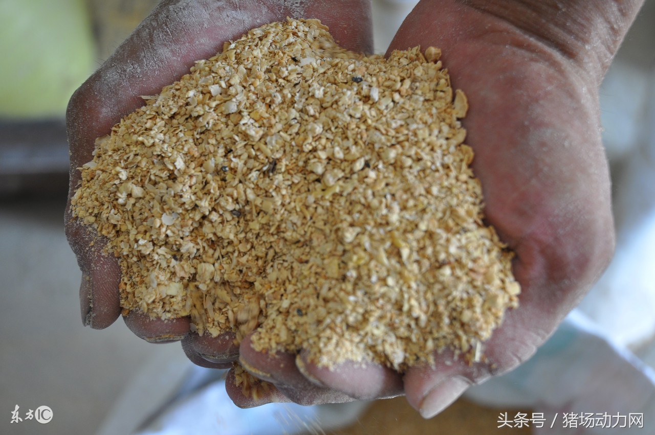 豆粕造假,膨化豆粕和普通豆粕怎么鉴别