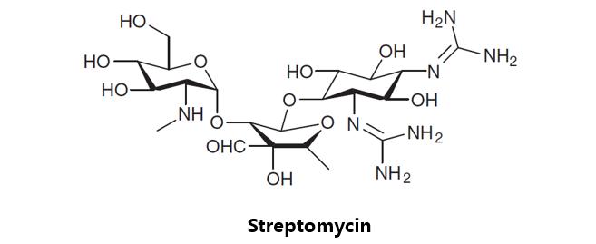 肺结核病的药物研究综述,肺结核的新药研发进展