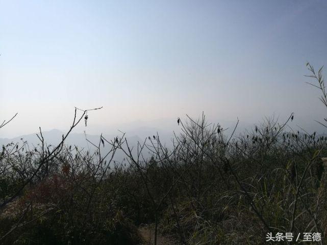 泸州深山老林景区,隐藏的世外桃源山中奇观