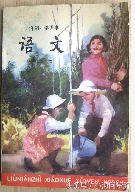 20年前的语文课本你们还记得吗,看完之后,泪流了!